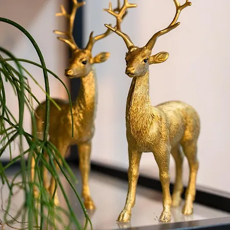 Appartamento Zloty Jelonek - 4 Osobowy Na Placu Ratuszowym - Space