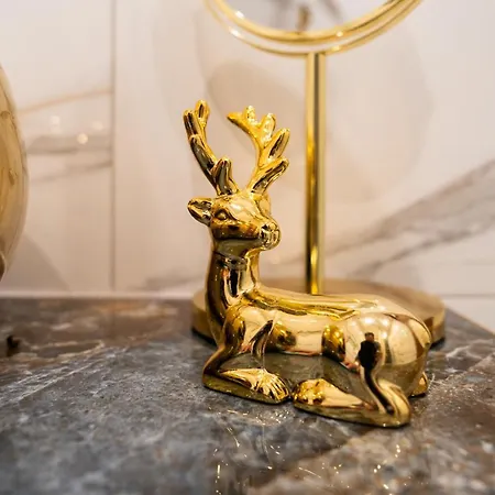 公寓 Zloty Jelonek - 4 Osobowy Na Placu Ratuszowym - Space 耶莱尼亚古拉