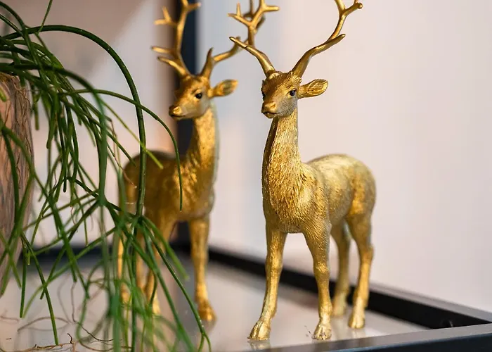 公寓 Zloty Jelonek - 4 Osobowy Na Placu Ratuszowym - Space