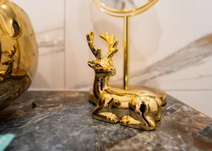 公寓 Zloty Jelonek - 4 Osobowy Na Placu Ratuszowym - Space 耶莱尼亚古拉