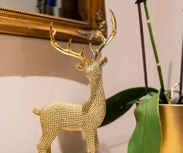 Zloty Jelonek - 4 Osobowy Na Placu Ratuszowym - Space * 耶莱尼亚古拉